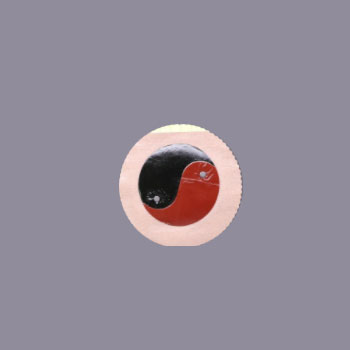 ̫ON